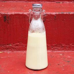 Pistachio Milk With Vanilla and Cardamom Recipe