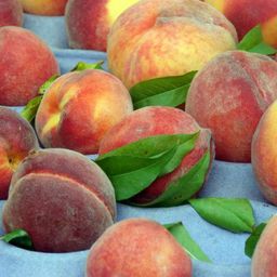 Peach-Ginger Shrub Recipe